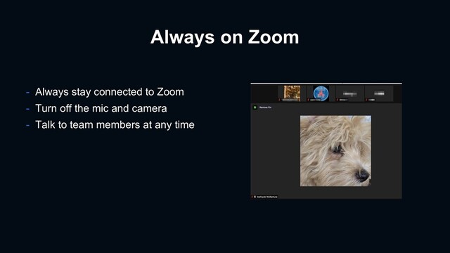 Always on Zoom
- Always stay connected to Zoom
- Turn off the mic and camera
- Talk to team members at any time
