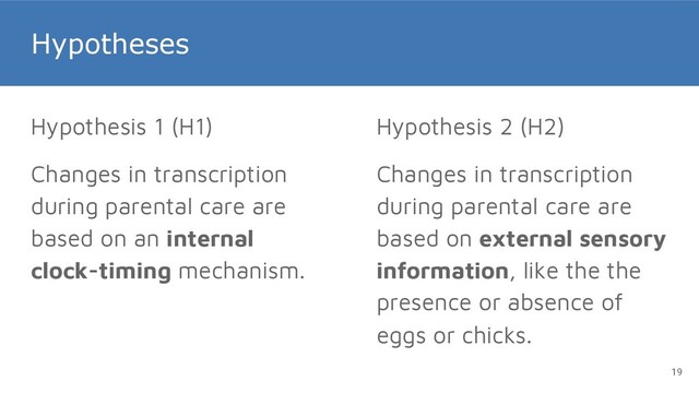Hypotheses
Hypothesis 1 (H1)
Changes in transcription
during parental care are
based on an internal
clock-timing mechanism.
19
Hypothesis 2 (H2)
Changes in transcription
during parental care are
based on external sensory
information, like the the
presence or absence of
eggs or chicks.
