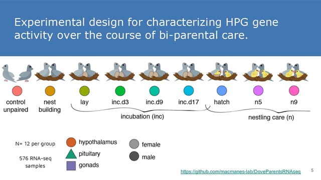 Experimental design for characterizing HPG gene
activity over the course of bi-parental care.
5
https://github.com/macmanes-lab/DoveParentsRNAseq
N= 12 per group
576 RNA-seq
samples
