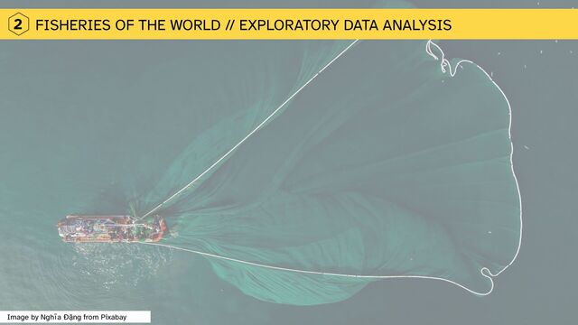 FISHERIES OF THE WORLD // EXPLORATORY DATA ANALYSIS
2
Image by Nghĩa Đặng from Pixabay
