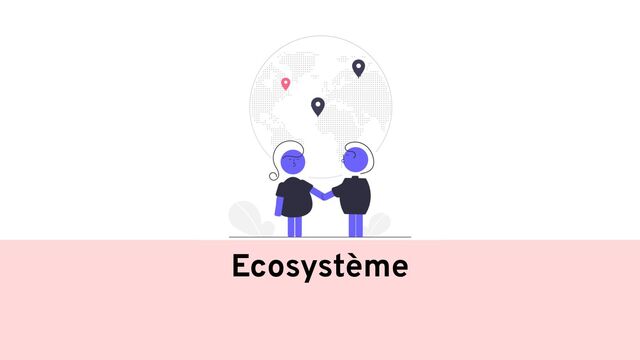 Ecosystème
