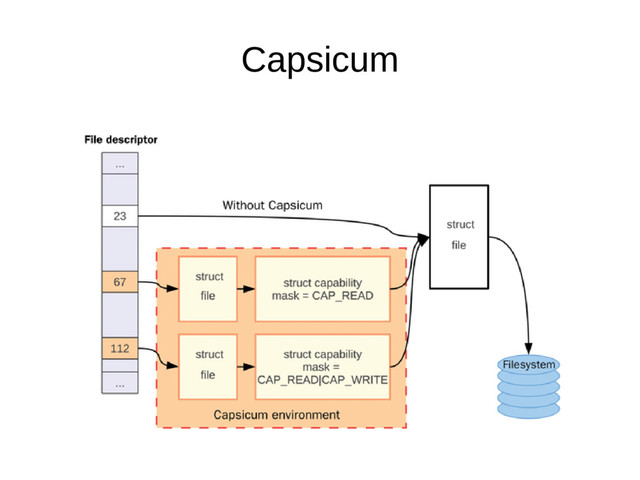 Capsicum
