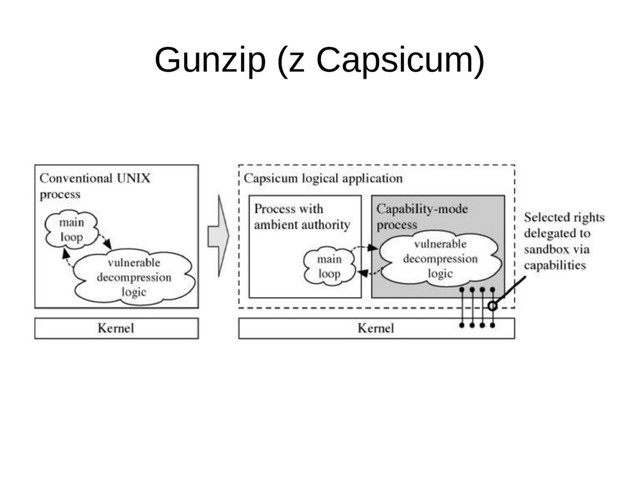 Gunzip (z Capsicum)
