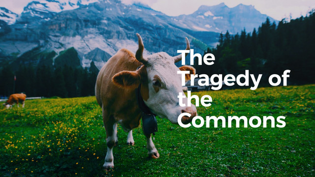 The
Tragedy of
the
Commons
