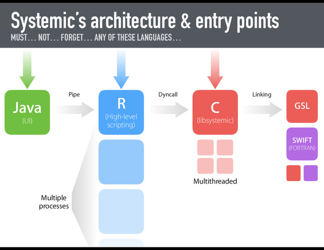 Systemic’s architecture & entry points
MUST… NOT… FORGET… ANY OF THESE LANGUAGES…
Java
(UI)
Pipe
R
(High-level
scripting)
Dyncall
C
(libsystemic)
Multiple
processes
Multithreaded
Linking
GSL
SWIFT
(FORTRAN)
