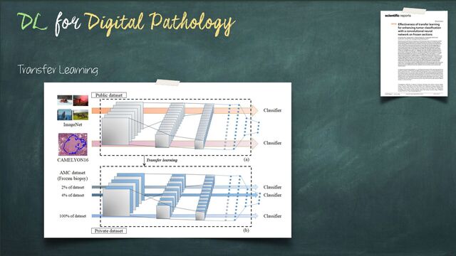 DL for Digital Pathology
Transfer Learning
