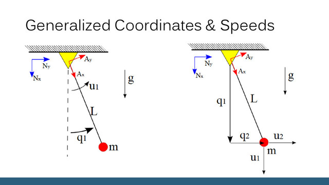 Generalized Coordinates & Speeds
