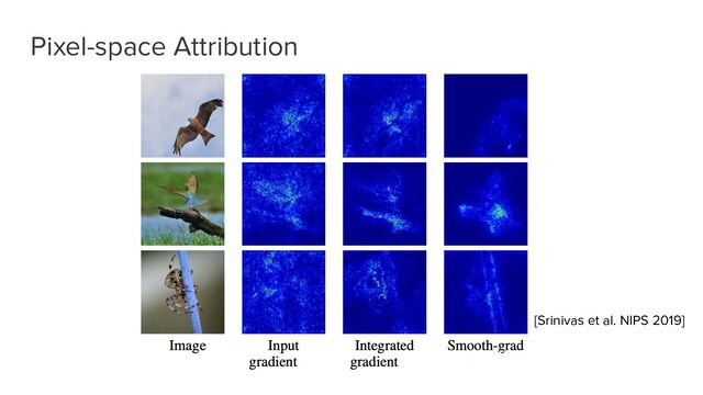Pixel-space Attribution
[Srinivas et al. NIPS 2019]
