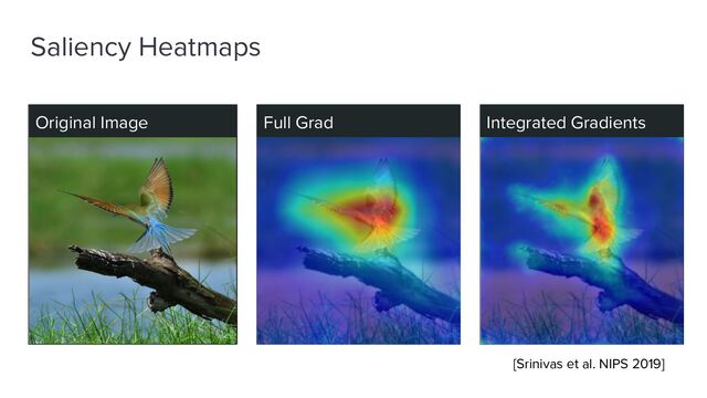 Saliency Heatmaps
Grad CAM Full Grad Integrated Gradients
Original Image
[Srinivas et al. NIPS 2019]
