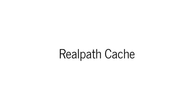 Realpath Cache
