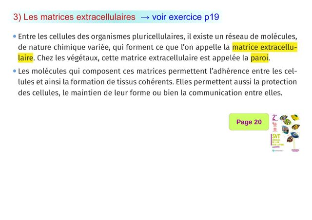 3) Les matrices extracellulaires → voir exercice p19
Page 20
