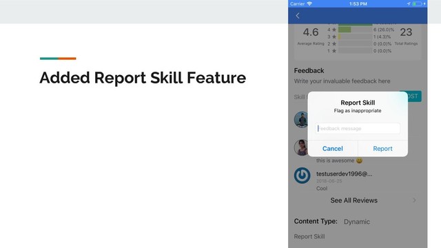 Added Report Skill Feature
