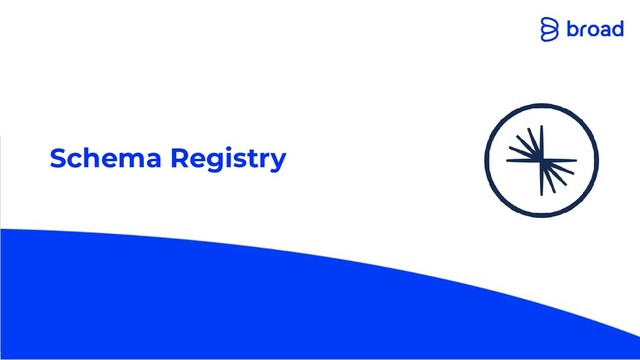 Schema Registry
