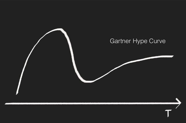 Gartner Hype Curve
