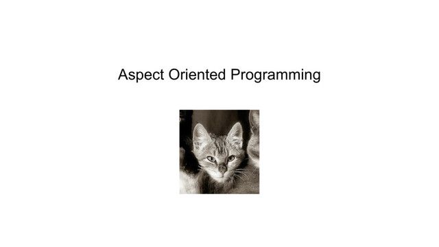 Aspect Oriented Programming
