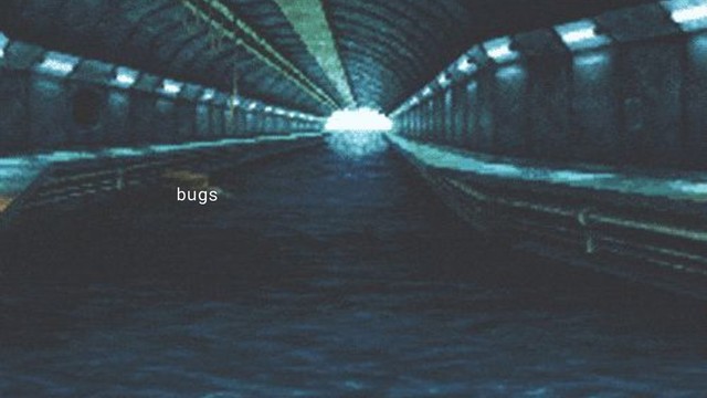 bugs
