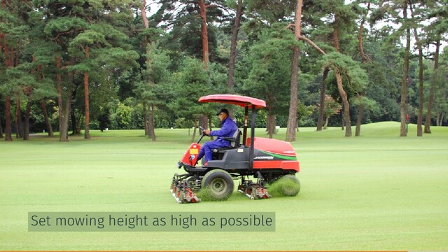 Set mowing height as high as possible
