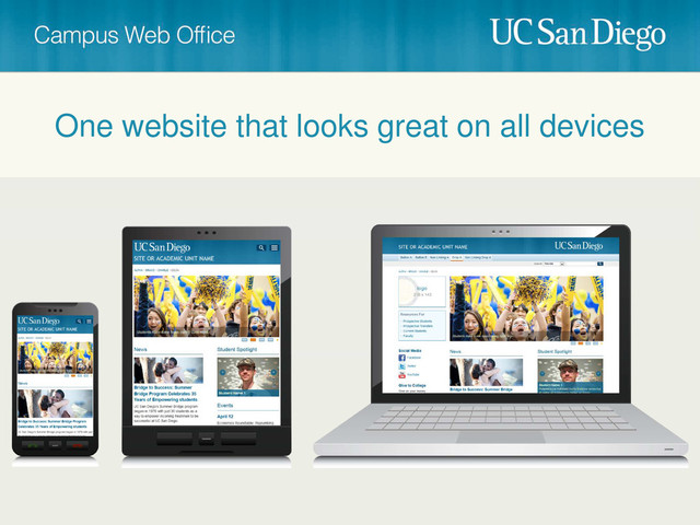 One website that looks great on all devices
