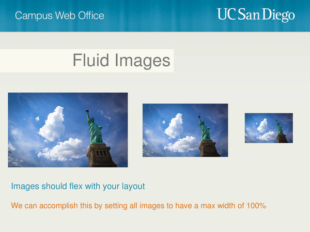 Fluid Images
We can accomplish this by setting all images to have a max width of 100%
Images should flex with your layout
