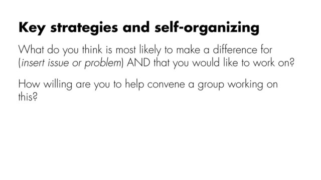 What do you think is most likely to make a difference for
(insert issue or problem) AND that you would like to work on?
How willing are you to help convene a group working on
this?
Key strategies and self-organizing
