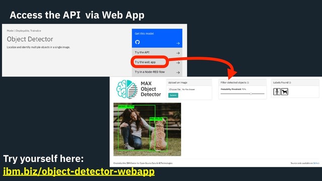 Access the API via Web App
Try yourself here:
ibm.biz/object-detector-webapp
