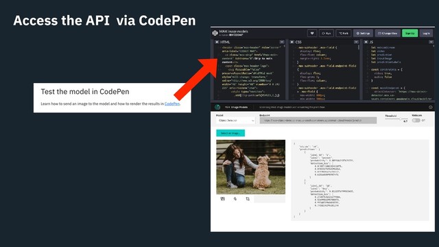 Access the API via CodePen
