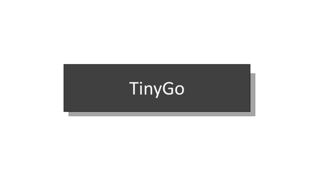 TinyGo
