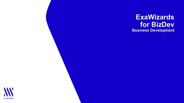 ExaWizards
for BizDev
Business Development
