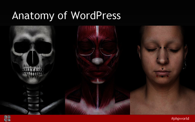 #phpworld
Anatomy of WordPress

