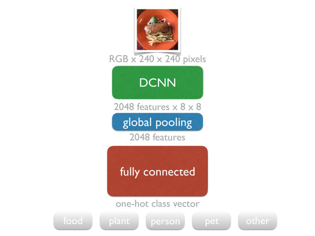 DCNN
global pooling
fully connected
RGB x 240 x 240 pixels
2048 features x 8 x 8
one-hot class vector
2048 features
food plant person pet other
