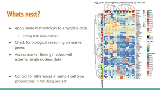 Whats next?
● Apply same methodology to Amygdala data
○ Proving to be more complex
● Check for biological reasoning on marker
genes
● Assess marker ﬁnding method with
external single nucleus data
● Control for diﬀerences in sample cell type
proportions in MDDseq project
