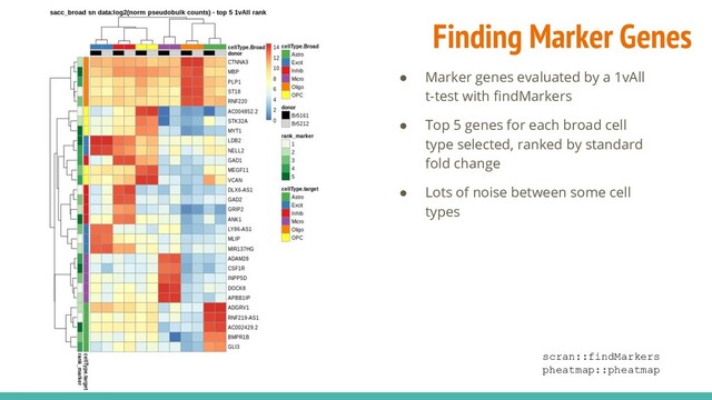 ● Marker genes evaluated by a 1vAll
t-test with ﬁndMarkers
● Top 5 genes for each broad cell
type selected, ranked by standard
fold change
● Lots of noise between some cell
types
scran::findMarkers
pheatmap::pheatmap
Finding Marker Genes
