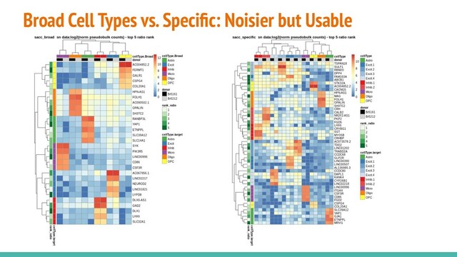 Broad Cell Types vs. Speciﬁc: Noisier but Usable

