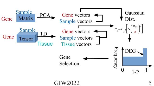 Matrix
Tensor
PCA
TD
Gene vectors
Sample vectors
Gene vectors
Sample vectors
Tissue vectors
Gene
Sample
Gene
Sample
Tissue
Gaussian
Dist.
Frequency
0 1
1-P
DEG
Gene
Selection
GIW2022 5

