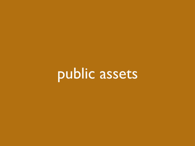 public assets

