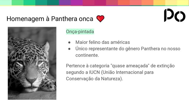 Homenagem à Panthera onca
Onça-pintada
● Maior felino das américas
● Único representante do gênero Panthera no nosso
continente.
Pertence à categoria "quase ameaçada" de extinção
segundo a IUCN (União Internacional para
Conservação da Natureza).
