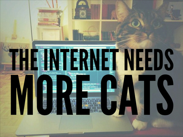 MORE CATS
THE INTERNET NEEDS
