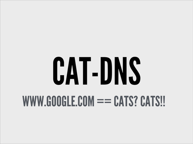 CAT-DNS
WWW.GOOGLE.COM == CATS? CATS!!
