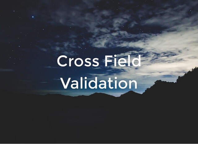 Cross Field
Validation
