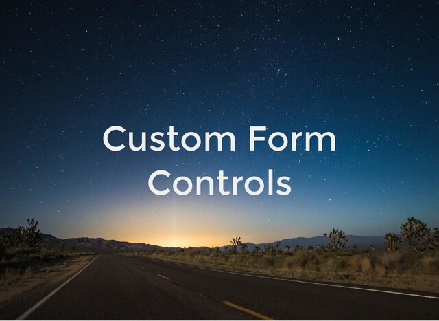Custom Form
Controls
