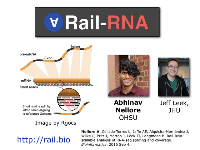 Abhinav
Nellore
OHSU
Jeff Leek,
JHU
http://rail.bio
Nellore A, Collado-Torres L, Jaffe AE, Alquicira-Hernández J,
Wilks C, Pritt J, Morton J, Leek JT, Langmead B. Rail-RNA:
scalable analysis of RNA-seq splicing and coverage.
Bioinformatics. 2016 Sep 4.
Image by Rgocs
