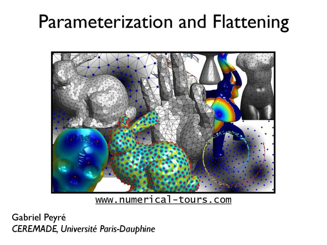 Parameterization and Flattening
Gabriel Peyré
CEREMADE, Université Paris-Dauphine
www.numerical-tours.com
