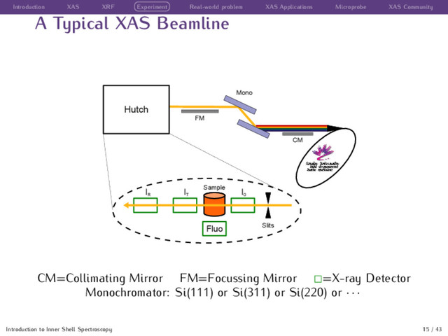 Introduction XAS XRF Experiment Real-world problem XAS Applications Microprobe XAS Community
A Typical XAS Beamline
CM
Mono
FM
Hutch
Fluo
I
0
Slits
I
T
I
R
Sample
CM=Collimating Mirror FM=Focussing Mirror =X-ray Detector
Monochromator: Si(111) or Si(311) or Si(220) or · · ·
Introduction to Inner Shell Spectroscopy 15 / 43
