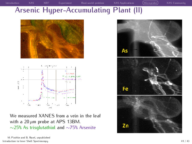 Introduction XAS XRF Experiment Real-world problem XAS Applications Microprobe XAS Community
Arsenic Hyper-Accumulating Plant (II)
We measured XANES from a vein in the leaf
with a 20 µm probe at APS 13BM.
∼25% As trisglutathiol and ∼75% Arsenite
Introduction to Inner Shell Spectroscopy 41 / 43
M. Pischke and B. Ravel, unpublished
