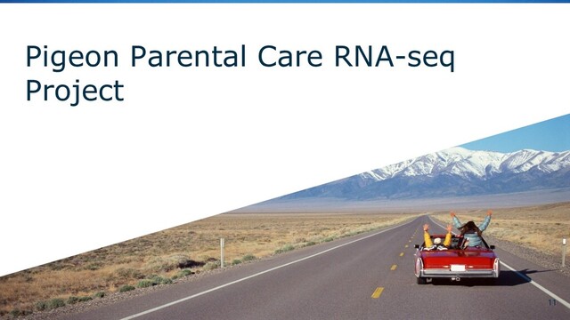 Pigeon Parental Care RNA-seq
Project
11
