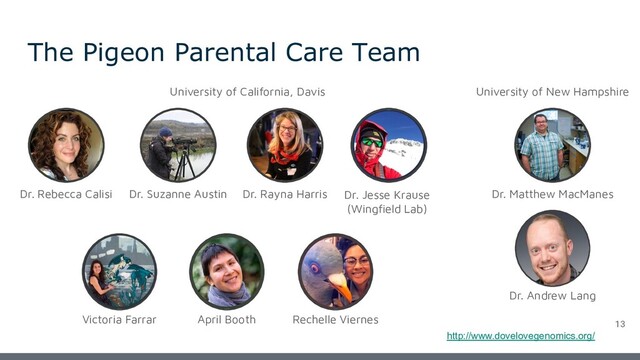 The Pigeon Parental Care Team
Dr. Rayna Harris
Dr. Suzanne Austin
Dr. Andrew Lang
Dr. Matthew MacManes
Dr. Rebecca Calisi
Rechelle Viernes
Dr. Jesse Krause
(Wingﬁeld Lab)
April Booth
Victoria Farrar
University of California, Davis University of New Hampshire
13
http://www.dovelovegenomics.org/
