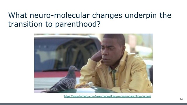 What neuro-molecular changes underpin the
transition to parenthood?
14
https://www.fatherly.com/love-money/tracy-morgan-parenting-quotes/
