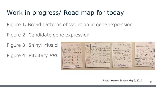 Work in progress/ Road map for today
19
Figure 1: Broad patterns of variation in gene expression
Figure 2: Candidate gene expression
Figure 3: Shiny! Music!
Figure 4: Pituitary PRL
Photo taken on Sunday, May 3, 2020
