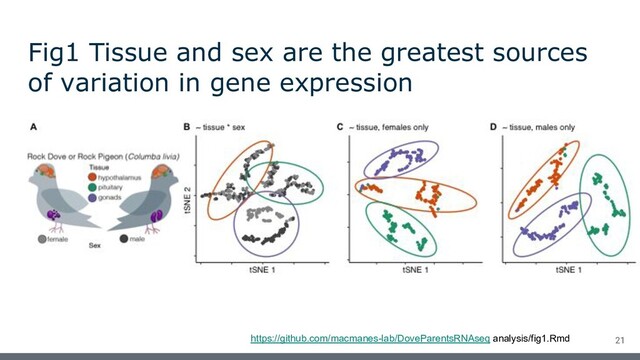 Fig1 Tissue and sex are the greatest sources
of variation in gene expression
https://github.com/macmanes-lab/DoveParentsRNAseq analysis/fig1.Rmd 21
