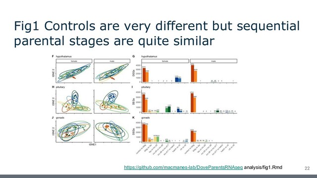 Fig1 Controls are very different but sequential
parental stages are quite similar
https://github.com/macmanes-lab/DoveParentsRNAseq analysis/fig1.Rmd 22
